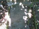 image of grave number 729865